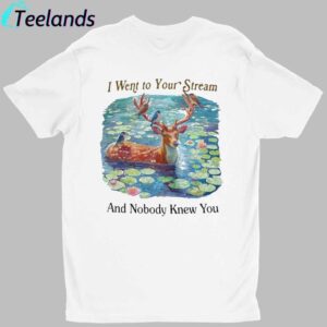 I Went To Your Stream And Nobody Knew You Shirt